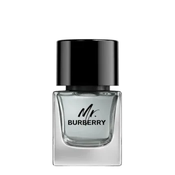 BURBERRY MR BURBERRY eau de toilette 50 ml for Men